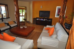 int living room couches int living room couches